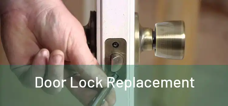 Door Lock Replacement 